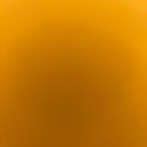 Meet your Posher, Cesar